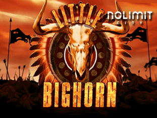 Little Bighorn game thumbnail